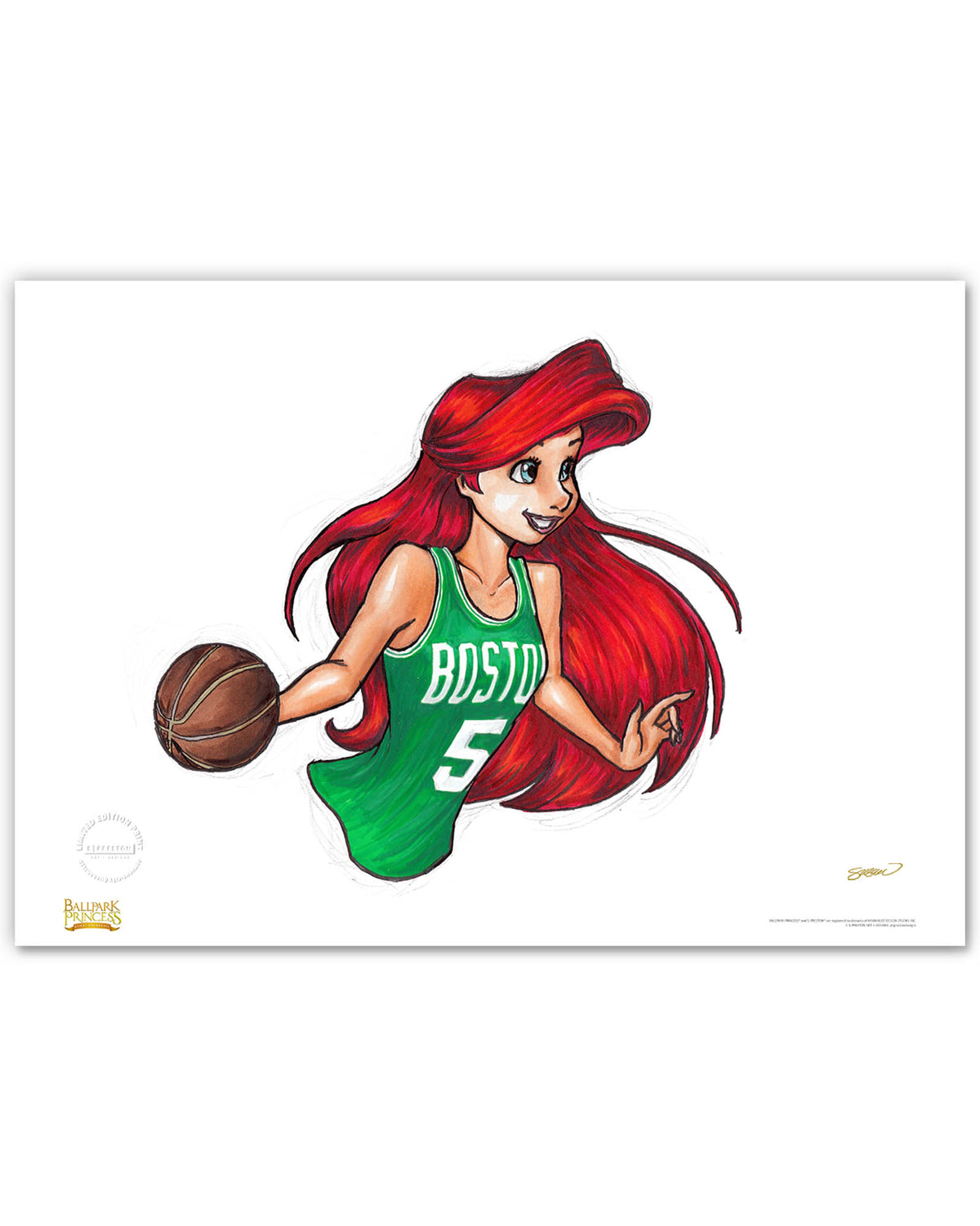 BOS Celtics Ariel Fine Art Print