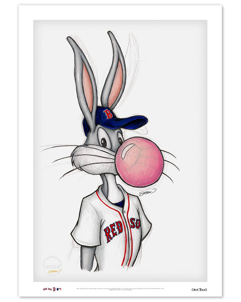 Bubblegum Bugs x MLB - Washington Nationals by S. Preston Art