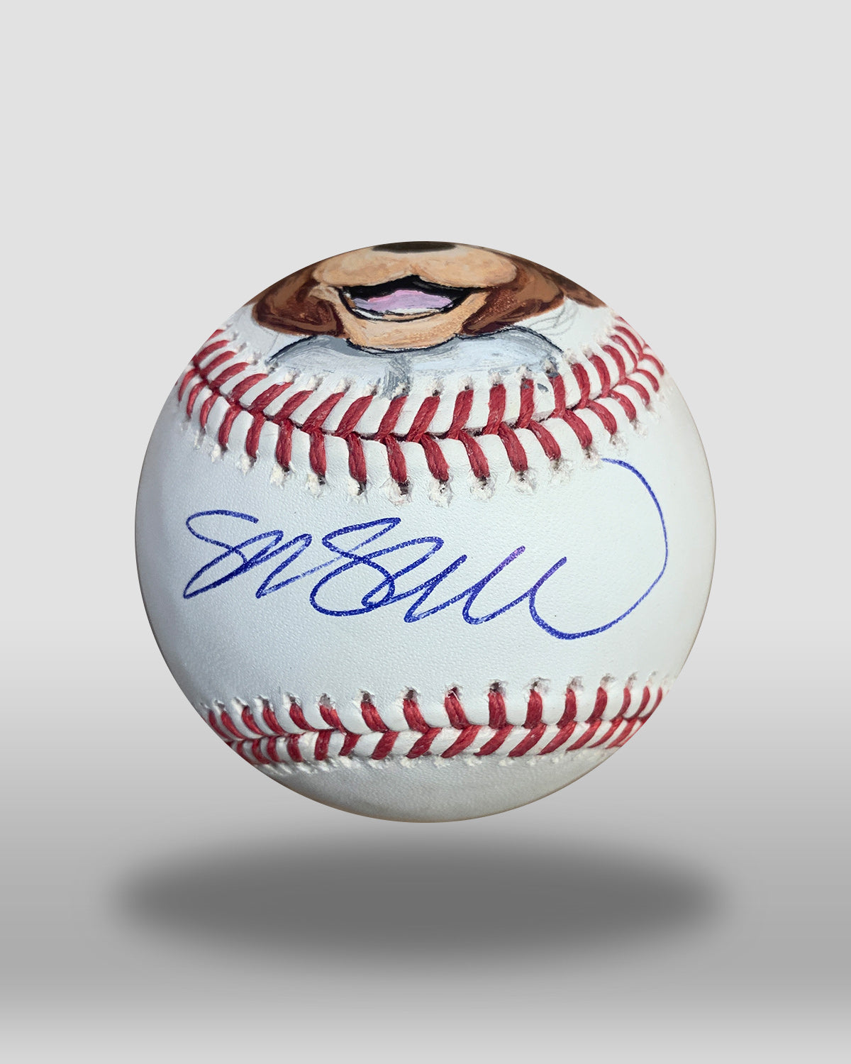 Clark The Cub Hand-Painted Baseball Art